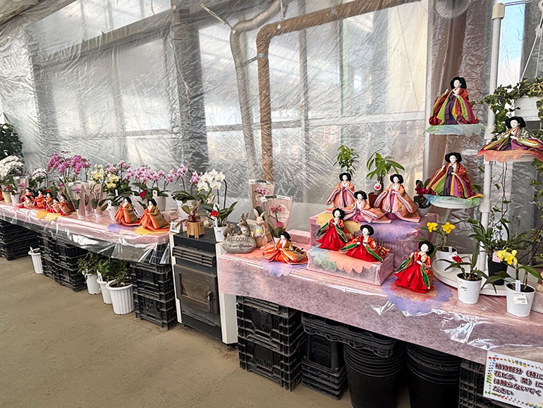 パンジーハウス