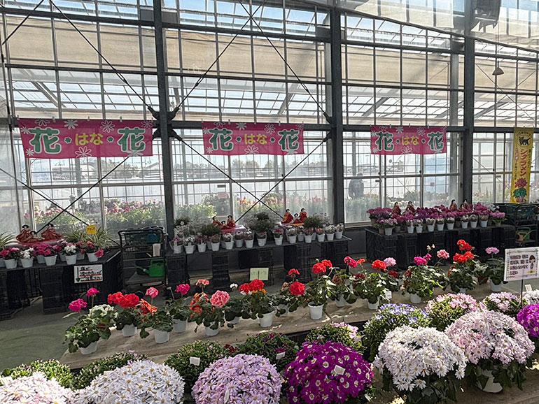 パンジーハウス